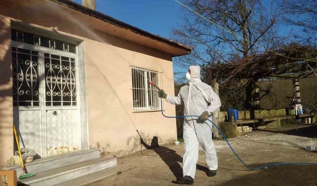 Tarım ve Orman İl Müdürlüğü’nden ‘Kahverengi Kokarca’ çağrısı