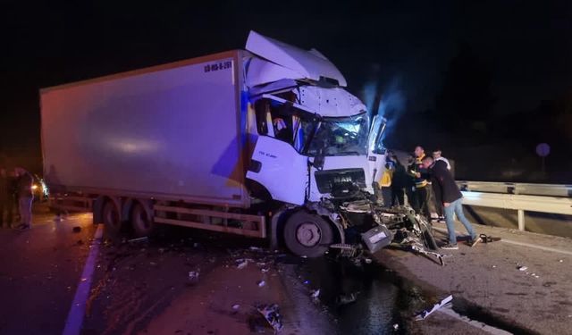 Tır dorsesine çarpan kamyonun sürücüsü yaralandı