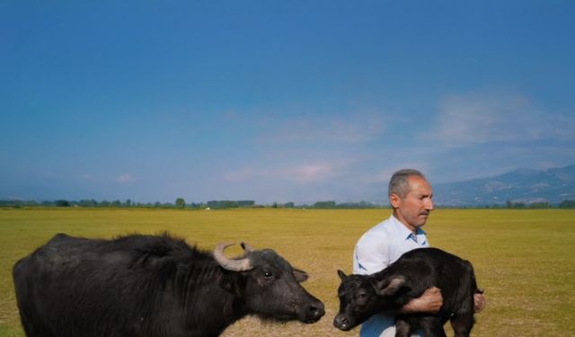 Tokatlı fırın ustasının Paris’teki ödül sevinci vize engeline takıldı
