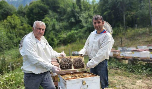 Türkiye’nin AB tescilli 43’üncü ürünü Yenice ıhlamur balı oldu