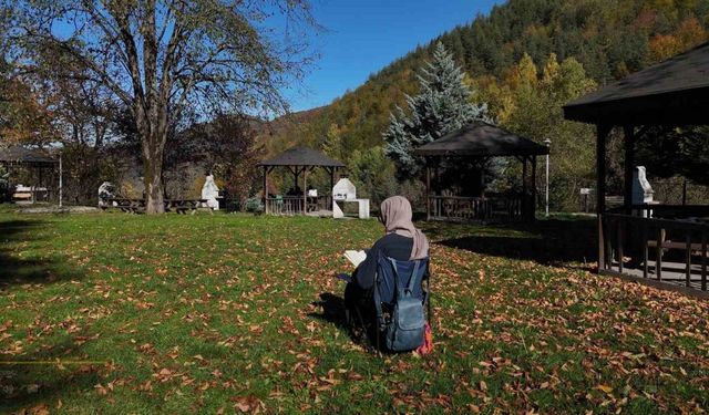 Türkiye’nin tek "cadı kazanı" şelalesinde sonbahar manzaraları