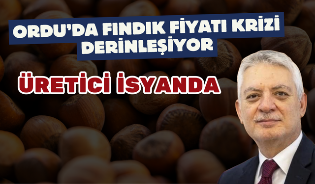 Ordu’da Fındık Fiyatı Krizi Derinleşiyor: Üretici İsyanda