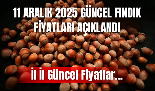 11 Aralık 2025 Güncel Fındık Fiyatları Açıklandı