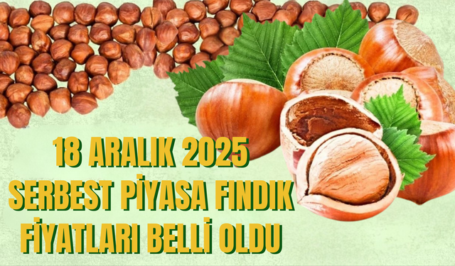 18 Aralık Perşembe Serbest Piyasa Fındık Fiyatları Belli Oldu