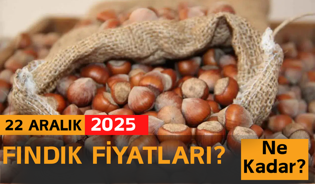 22 Aralık 2025 Fındık Fiyatları?