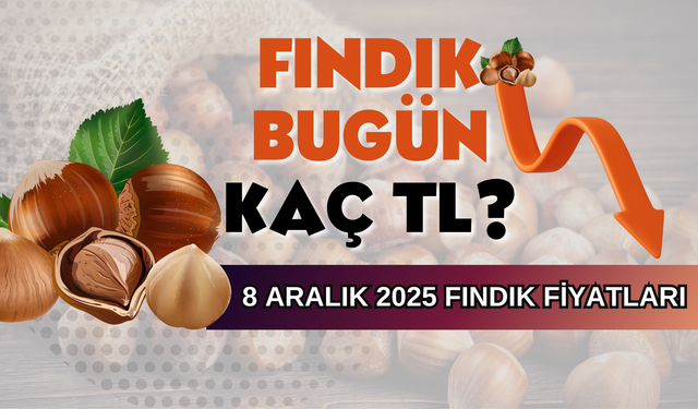 8 Aralık 2025 Fındık Fiyatları Kaç TL Oldu?