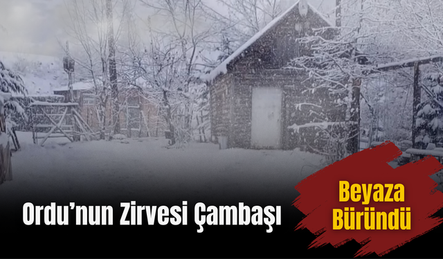 Ordu’nun Zirvesi Çambaşı Beyaza Büründü