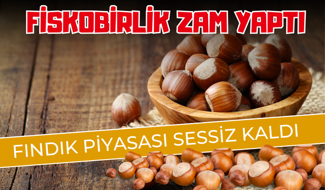 FİSKOBİRLİK Zam Yaptı, Fındık Piyasası Sessiz Kaldı