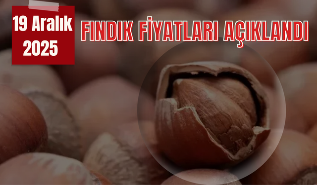 19 Aralık 2025 Fındık Fiyatları Açıklandı