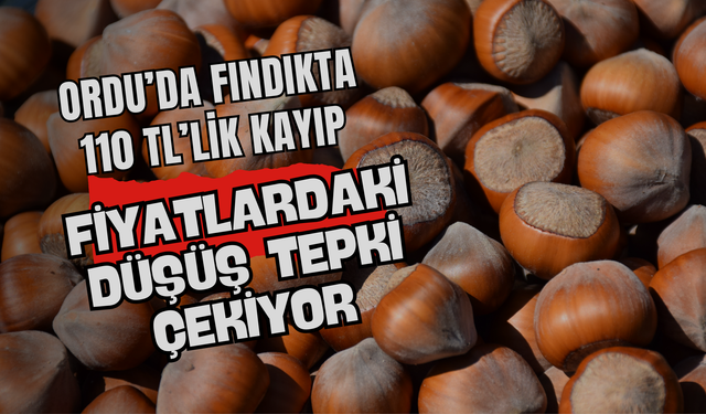 Ordu’da Fındıkta 110 TL’lik Kayıp: Fiyatlardaki Düşüş Tepki Çekiyor