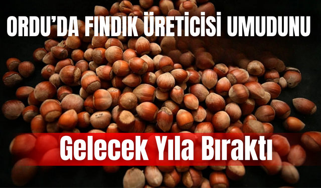 Ordu’da Fındık Üreticisi Umudunu Gelecek Yıla Bıraktı