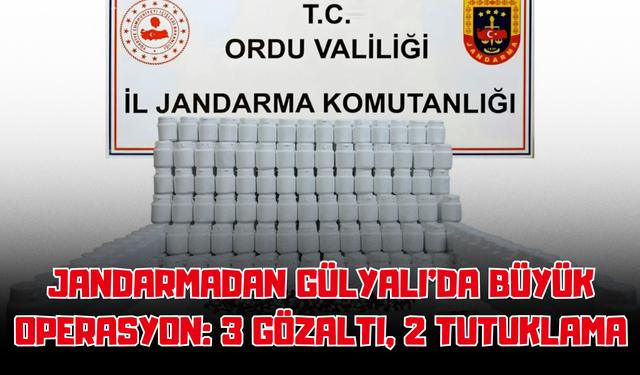 Jandarmadan Gülyalı’da Büyük Operasyon: 3 Gözaltı, 2 Tutuklama