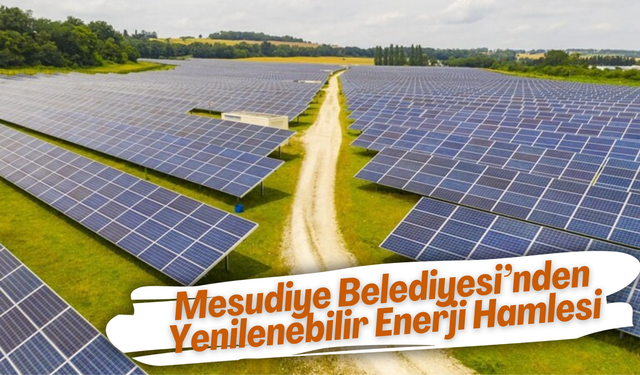 Mesudiye Belediyesi’nden Yenilenebilir Enerji Hamlesi