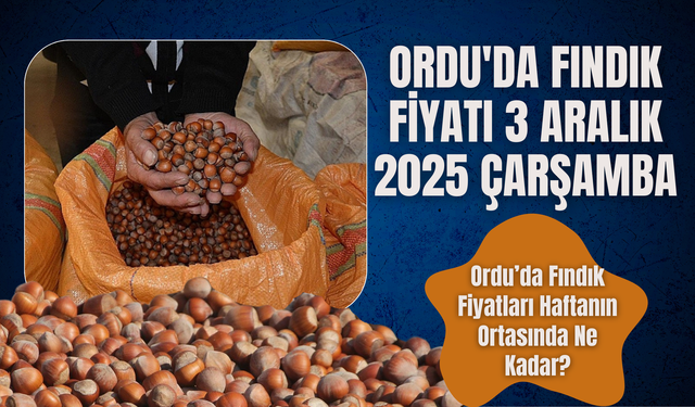 Ordu'da Fındık Fiyatı 3 Aralık 2025 Çarşamba