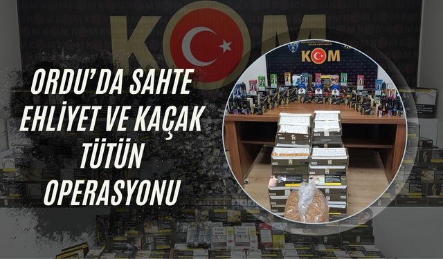 Ordu’da Sahte Ehliyet ve Kaçak Tütün Operasyonu