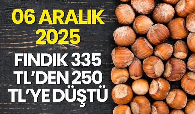 Serbest Piyasada Çöküş: Fındık 335 TL’den 250 TL’ye Düştü