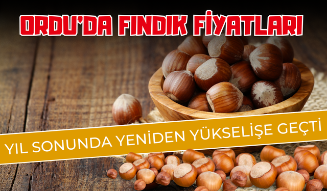 Ordu’da Fındık Fiyatları Yıl Sonunda Yeniden Yükselişe Geçti