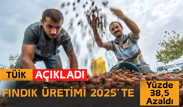 TÜİK: Fındık Üretimi 2025’te Yüzde 38,5 Azaldı