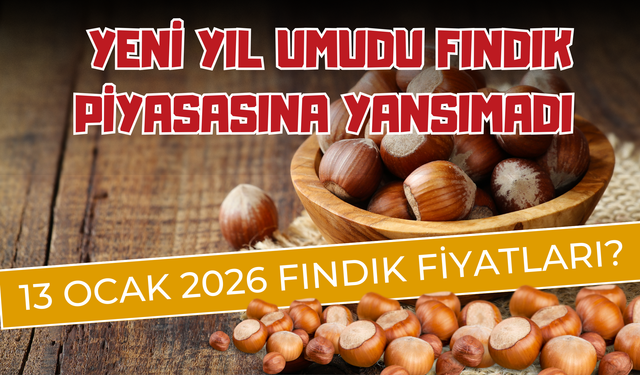 Yeni Yıl Umudu Fındık Piyasasına Yansımadı! 13 Ocak 2026 Fındık Fiyatları?