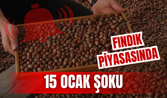 Fındık Piyasasında 15 Ocak Şoku