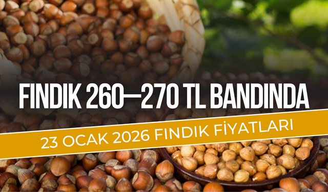 23 Ocak’ta Fındık 260–270 TL Bandında