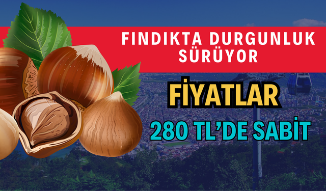 Fındıkta Durgunluk Sürüyor: Fiyatlar 280 TL’de Sabit