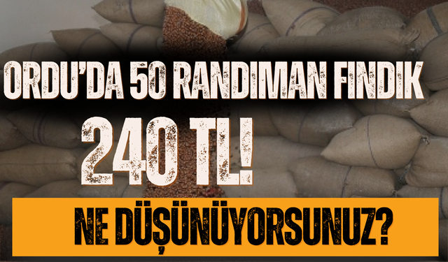 Ordu’da 50 Randıman Fındık 240 TL!
