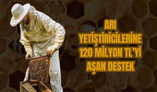 Arı Yetiştiricilerine 120 Milyon TL’yi Aşan Destek