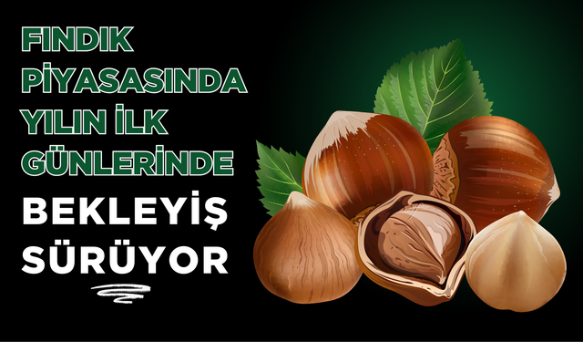Fındık Piyasasında Yılın İlk Günlerinde Bekleyiş Sürüyor