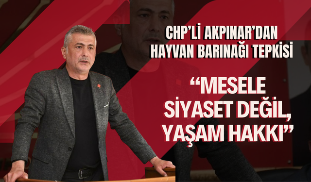 CHP’li Akpınar’dan Hayvan Barınağı Tepkisi: “Mesele Siyaset Değil, Yaşam Hakkı”