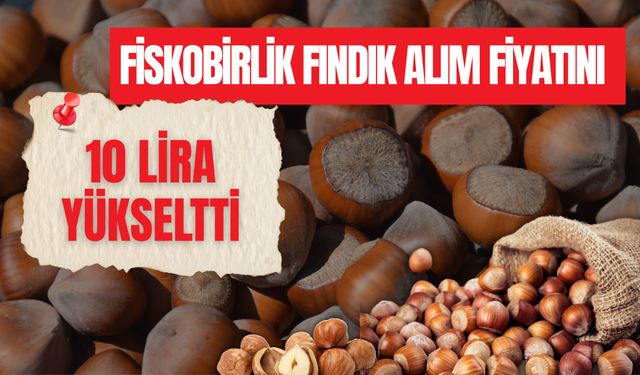 FİSKOBİRLİK FINDIK ALIM FİYATINI 10 LİRA YÜKSELTTİ