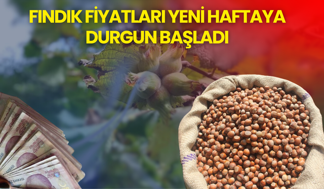 Fındık Fiyatları Yeni Haftaya Durgun Başladı