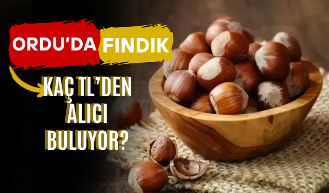 Ordu’da Kabuklu Fındık Kaç TL’den Alıcı Buluyor?