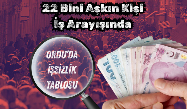 Ordu’da İşsizlik Tablosu: 22 Bini Aşkın Kişi İş Arayışında