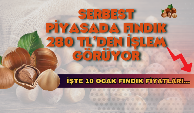 Serbest Piyasada Fındık 280 TL’den İşlem Görüyor