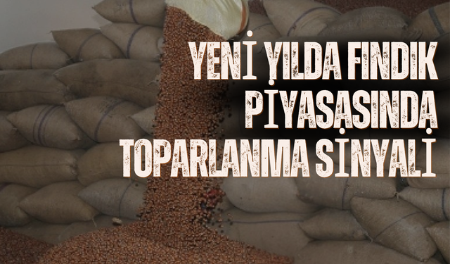 Yeni Yılda Fındık Piyasasında Toparlanma Sinyali