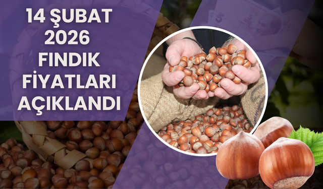 14 Şubat Fındık Fiyatları Açıklandı