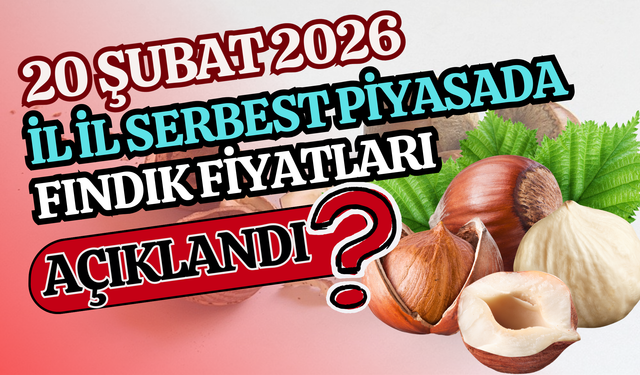 20 Şubat 2026 İl İl Serbest Piyasada Fındık Fiyatları Açıklandı