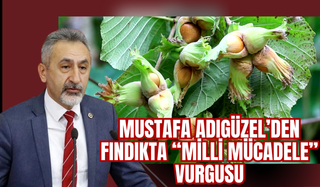 Mustafa Adıgüzel’den Fındıkta “Milli Mücadele” Vurgusu