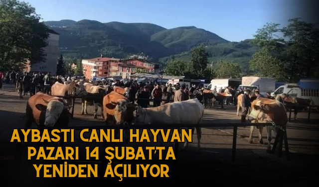 Aybastı Canlı Hayvan Pazarı 14 Şubat’ta Yeniden Açılıyor