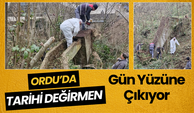 Ordu’da Tarihi Değirmen Gün Yüzüne Çıkıyor