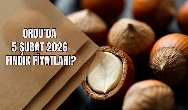 Ordu’da 5 Şubat 2026 Fındık Fiyatları?