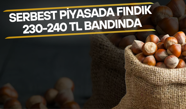 Serbest Piyasada Fındık 230-240 TL Bandında