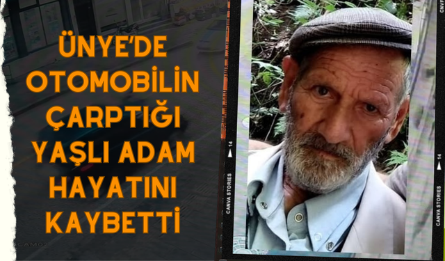 Ünye’de Otomobilin Çarptığı Yaşlı Adam Hayatını Kaybetti