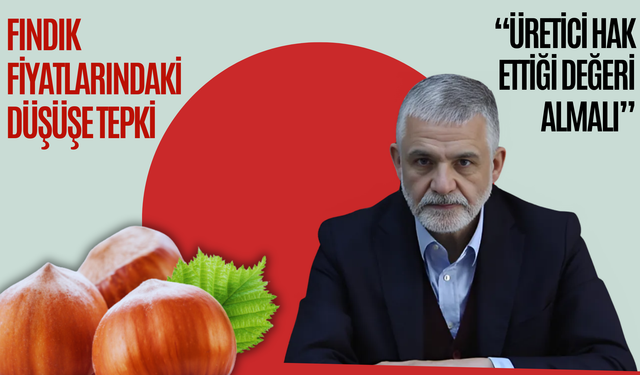 Fındık Fiyatlarındaki Düşüşe Tepki: “Üretici Hak Ettiği Değeri Almalı”