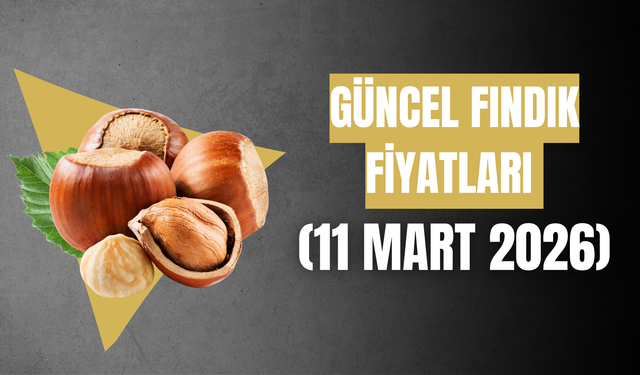 Güncel Fındık Fiyatları (11 Mart 2026)