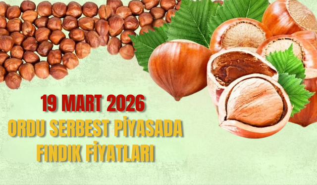 19 Mart 2026 Ordu Serbest Piyasada Fındık Fiyatları