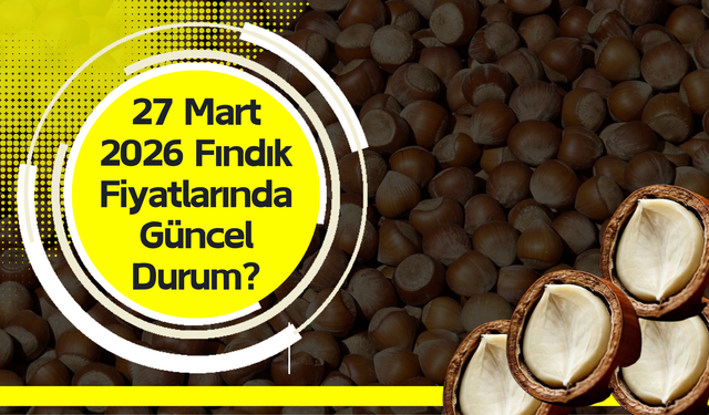 27 Mart 2026 Fındık Fiyatlarında Güncel Durum?