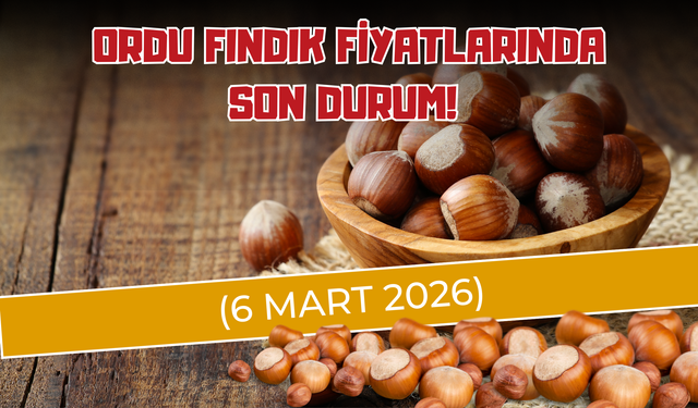 Ordu Fındık Fiyatlarında Son Durum! (6 Mart 2026)