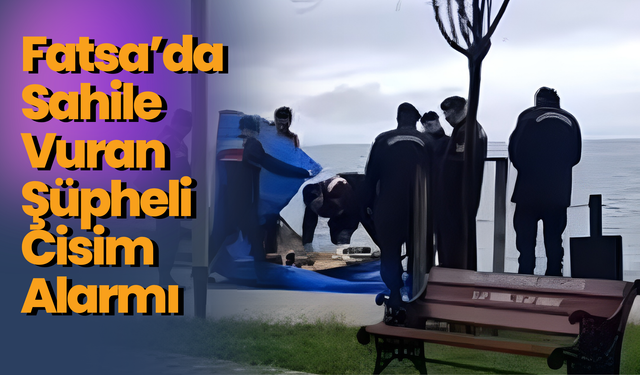 Fatsa’da Sahile Vuran Şüpheli Cisim Alarmı